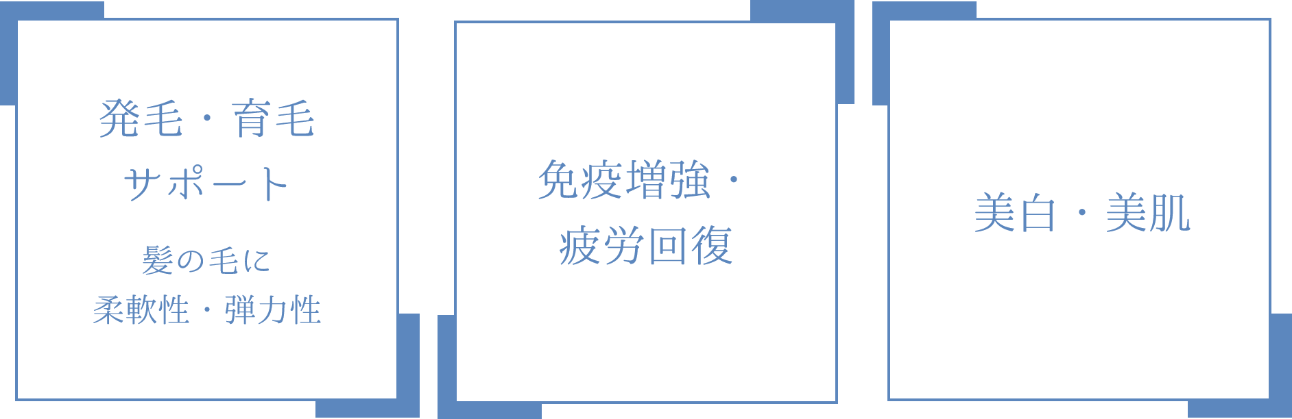 発毛・育毛サポート 髪の毛に柔軟性・弾力性/免疫増強・疲労回復/美白・美肌